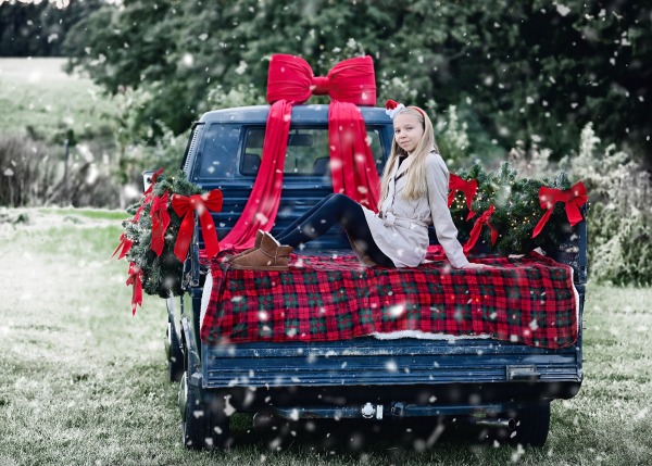 Sesja Świąteczna z samochodem plus studio i szklarnia 2025 r.